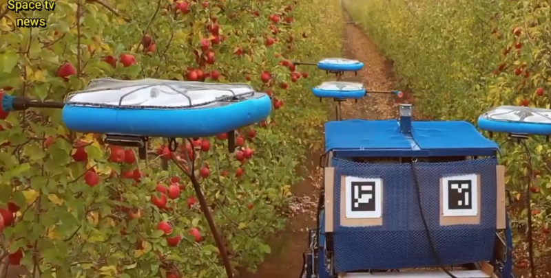 Drones-com-IA-revolucionam-colheita-de-maçãs-no-Chile
